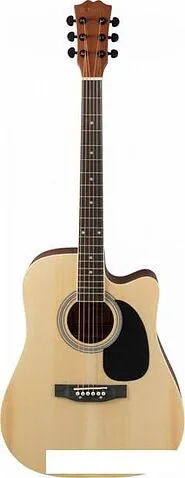 Акустическая гитара Terris TD-045 NA Starter Pack