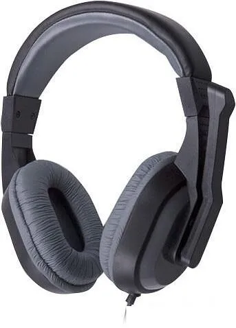 Наушники с микрофоном Ritmix RH-534M