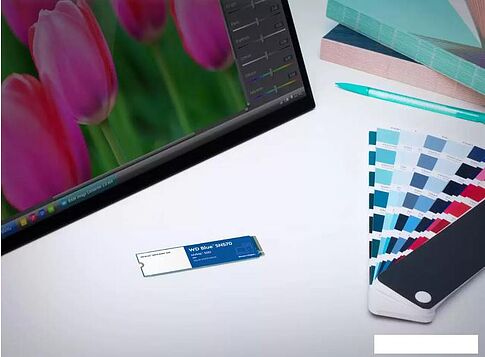 SSD WD Blue SN570 1TB WDS100T3B0C