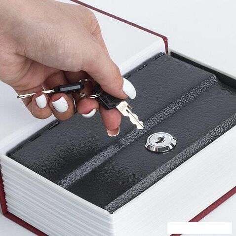 Сейф-книга BRAUBERG Остров сокровищ