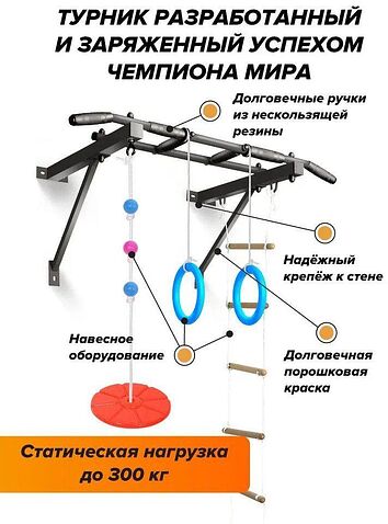 Турник Absolute Champion Оптимист АЧ 10045 (тарзанка, лестница, кольца, черный, черные ручки)