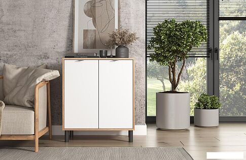 Тумба ЭлиГард Mone 2D (дуб вотан/белый)