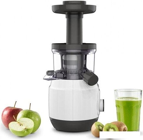 Соковыжималка Moulinex ZU150110