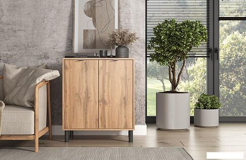 Тумба ЭлиГард Mone 2D (дуб вотан)