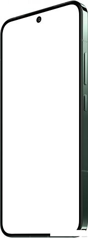 Смартфон Xiaomi 14 12GB/256GB международная версия (нефритово-зеленый)