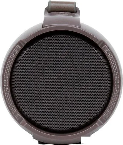 Беспроводная колонка Digma D-PS1520 (камуфляж)