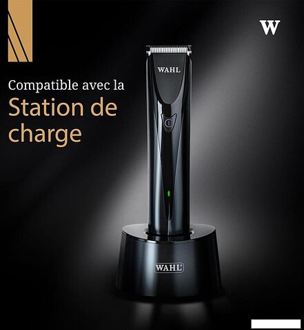 Триммер для бороды и усов Wahl ChroMini Duo 3029222