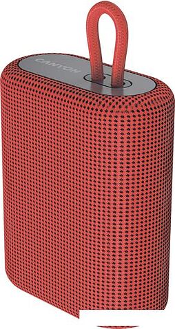 Беспроводная колонка Canyon CNE-CBTSP4R