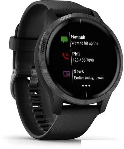 Умные часы Garmin Venu (черный/серый)