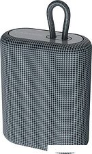 Беспроводная колонка Canyon CNE-CBTSP4DG