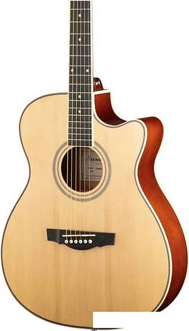 Акустическая гитара Naranda TG220CNA
