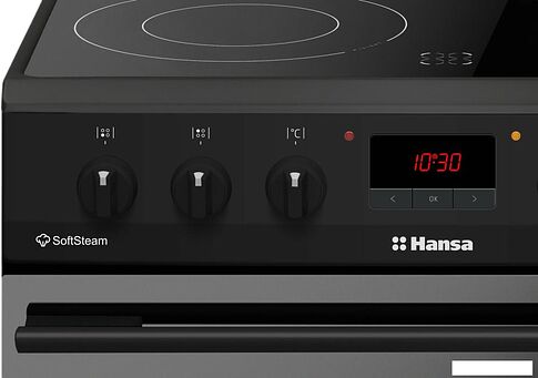 Кухонная плита Hansa FCCM69225H