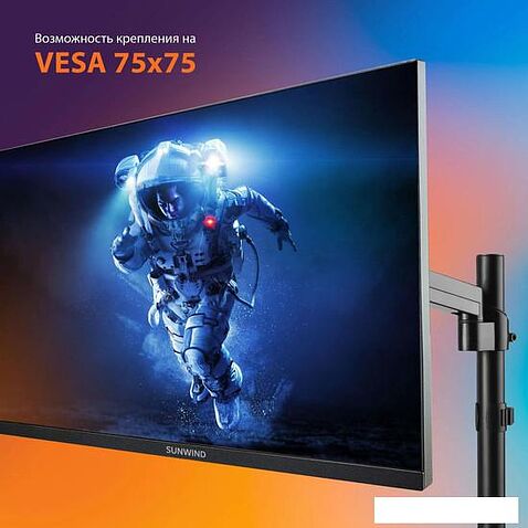 Монитор SunWind SUN-M24BA102