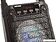 Беспроводная колонка TELEFUNKEN TF-PS1229B