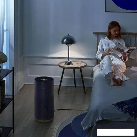 Очиститель воздуха SmartMi Air Purifier 2 KQJHQ02ZM