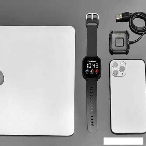 Умные часы Canyon Salt SW-78 (черный)