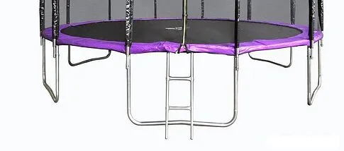 Батут Atlas Sport 490 см - 16ft Pro (с лестницей, внешняя сетка, сливовый)