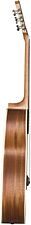 Акустическая гитара Baton Rouge X11S/P-CHB