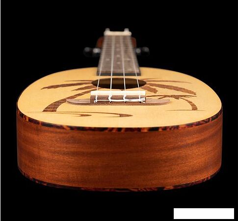 Укулеле Ortega Bonfire RUPA5