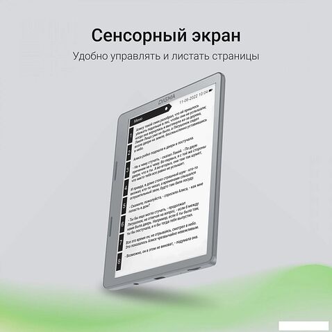 Электронная книга Digma E2