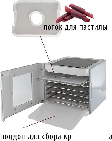 Сушилка для овощей и фруктов Pioneer FD907D