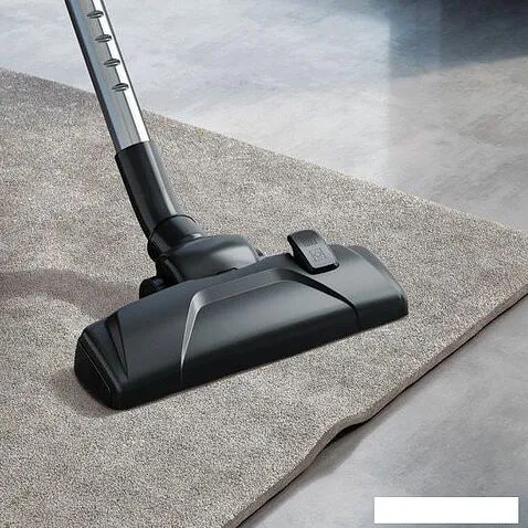 Пылесос Electrolux EEG43WR