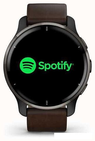 Умные часы Garmin Venu 2 Plus (черный/коричневый)