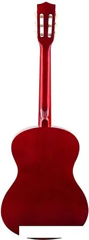 Акустическая гитара Terris TC-3805A NA