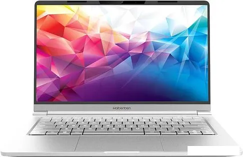 Ноутбук Maibenben P455 P4551SF0LSRE0