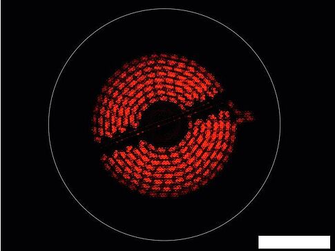 Варочная панель Electrolux EHF6346XOK