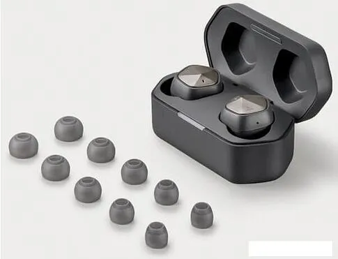 Наушники Astell&Kern AK UW100MKII