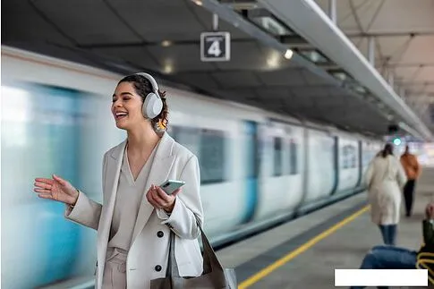 Наушники Sony WH-1000XM5 (серый)