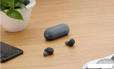 Наушники Sony WF-C500 (черный)