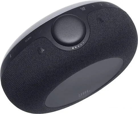 Часы JBL Horizon 2 FM (черный)