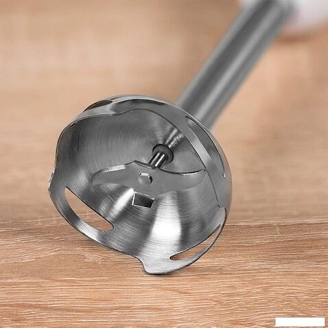 Погружной блендер Scarlett SC-HB42F67