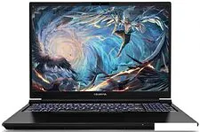 Игровой ноутбук Colorful Evol X16 Pro 23 A10003400457