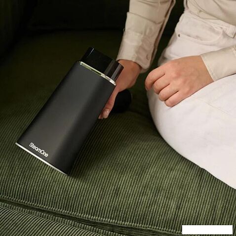 Отпариватель SteamOne EUFD80B