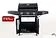 Газовый гриль для дачи Start Grill Esprit-31B