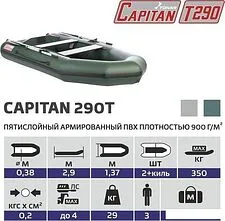 Моторно-гребная лодка Тонар Капитан Т290 (серый)