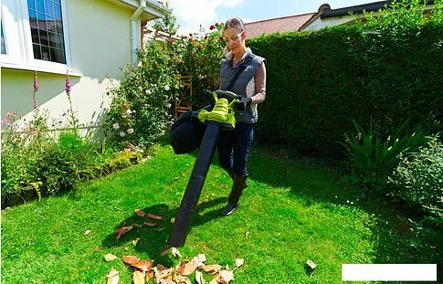 Воздуходувка Ryobi RBV3000CSV