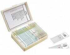 Микромед Зоология 22749