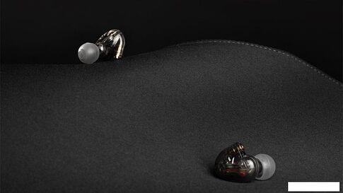 Наушники Music Public Kingdom IEM200M