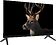 Телевизор Topdevice 24" YaOS TDWC24BH3260V