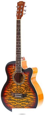 Акустическая гитара Elitaro E4030 SB