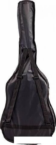 Акустическая гитара Terris TF-038 BK Starter Pack