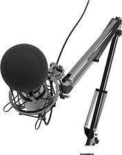 Микрофон Ritmix RDM-180
