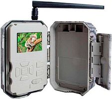 Фотоловушка BolyGuard BG662-M