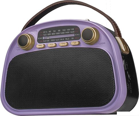 Радиоприемник Ritmix RPR-040 (лавандовый)