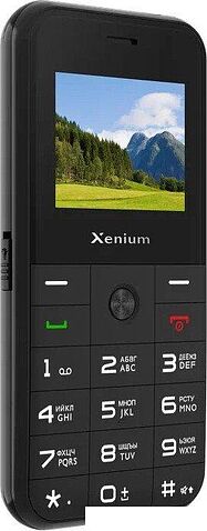 Телефон Xenium X718 (черный)
