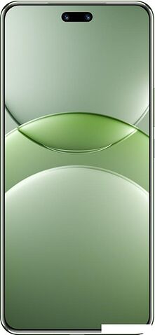 Смартфон Huawei nova 13 Pro MIS-LX9 12GB/512GB (дымчатый зеленый)